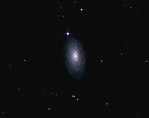 M63 - Sunflower gal; mag 9.3; size 12 x 7.2'; exp 21-min(60 sec subs); 60Da @ISO1600; Orion 10 @ f/3.9; 5-12-13; Pemberton Lake