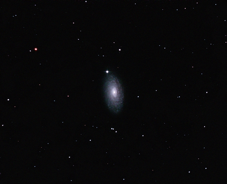 M63 - Sunflower gal