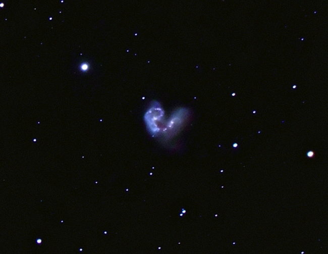 NGC4038 Antennae neb; mag 10.9; size 4.4x2.7'; exp 27-min(60s subs); 60Da @ISO3200; C9.25 @f/5.4; guided - 80mm; 4-24-14; Belleplain