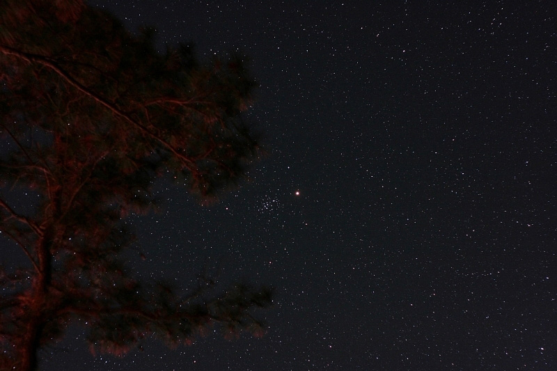 Mars and the Beehive (M44)