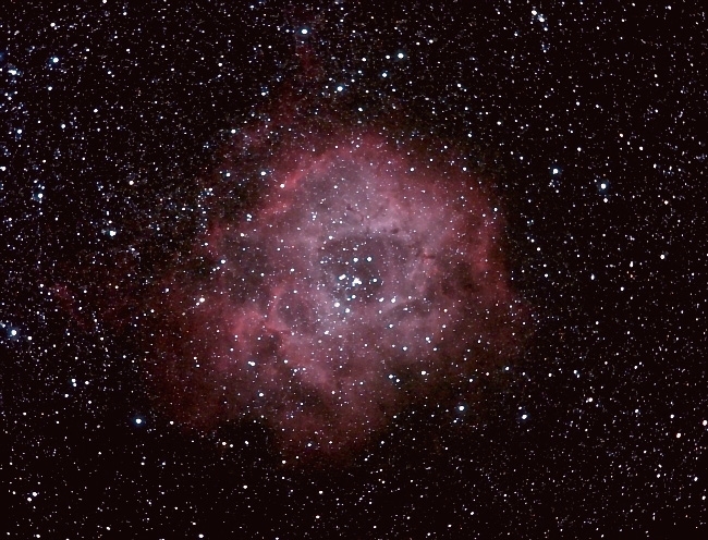 NGC2237 Rosette neb; mag 5.2; size 29'; exp 39 min (47x50sec); Canon 200mm f/2.8 lens; ISO 1600; IDAS; 1-22-09; Coyle