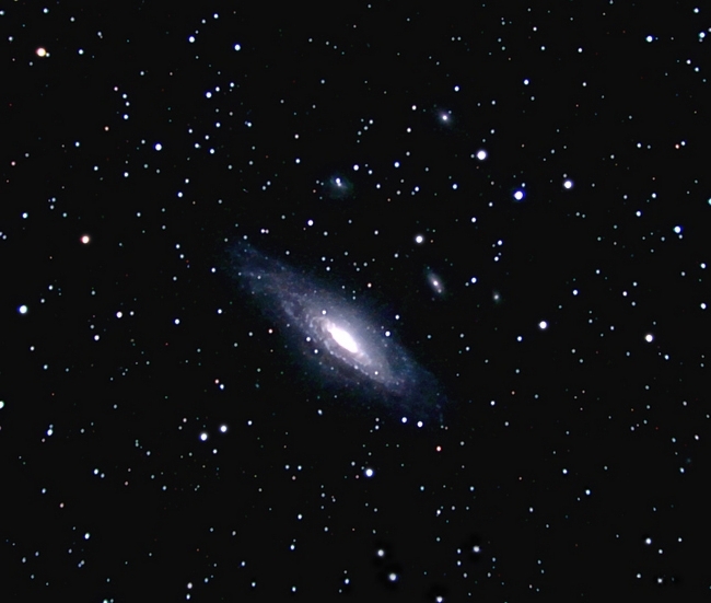 NGC7331