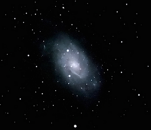 NGC2403