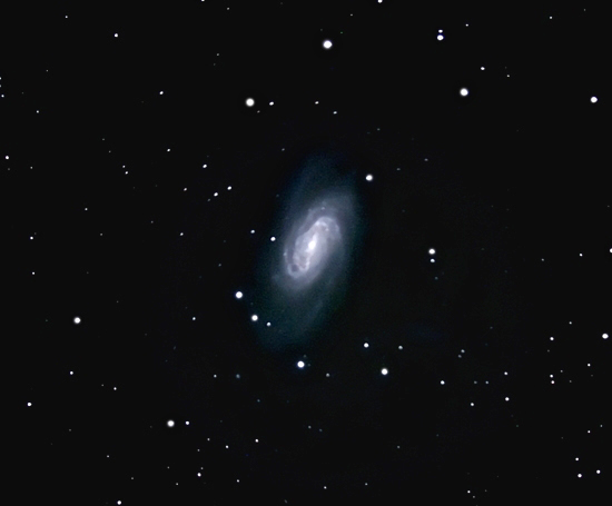 NGC2903; mag 10; size 11.5 x 4.2'; 32 min (64x30s); LX200 10 @f/2.4; ISO 1600; IDAS; 3-27-11; Coyle